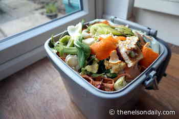 Nelson set to come online in fall with limited organics waste diversion through RDCK - The Nelson Daily