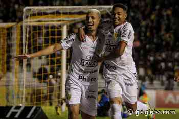 Brusque reduz quantidade de atletas no departamento médico e ganha "reforços" para a Série B - Globo