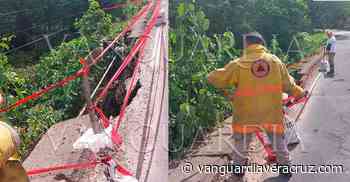 En riesgo de colapso el puente Del Diablo en Coatepec - Vanguardia de Veracruz