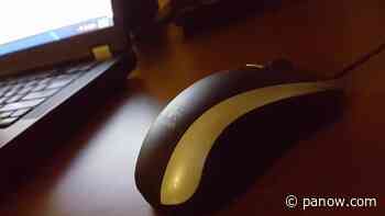 Police warn of another scam in Saskatchewan - paNOW