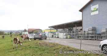 Oberkirch sagt deutlich Ja zur Landi - Surseer Woche