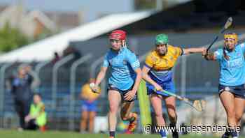 Dublin and Clare prove a big hit out west - Independent.ie