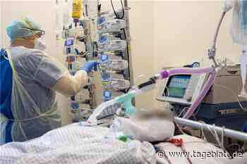 Was über die Corona-Toten im Landkreis Stade bekannt ist - TAGEBLATT: Nachrichten aus Stade, Buxtehude und der Region - Tageblatt-online