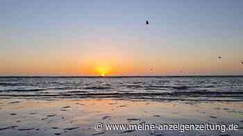 St. Peter-Ording: Mehr als Sandstrand und Wattenmeer