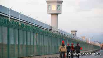 US begins banning imports from China's Xinjiang over forced labour and genocide allegations