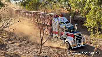 Rigid licensing leaves much-needed, qualified livestock truckies sweeping floors