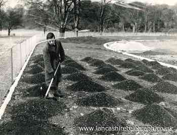 Giant molehills? Witton Park getting new cycle track