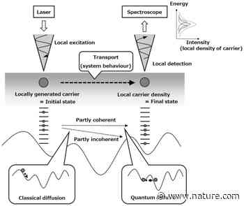 Scanning near-field optical spectroscopy and carrier transport based analysis in mesoscopic regions for two-dimensional semiconductors | Scientific Reports - Nature.com