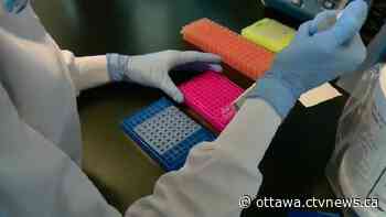 Ottawa Public Health third-party review gives thumbs up to local pandemic response - CTV News Ottawa