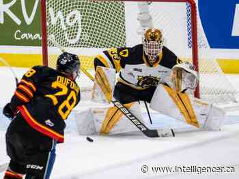 Memorial Cup: Saint John Sea Dogs beat Hamilton Bulldogs in opener - Belleville Intelligencer