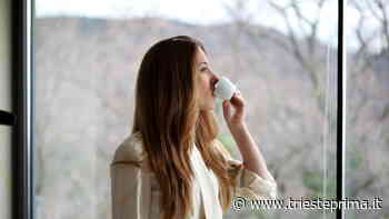 Perché Trieste è la città del caffè - TriestePrima