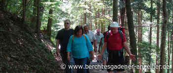 Bad Reichenhall: Schwierigkeiten im Leopoldstal - Berchtesgadener Anzeiger