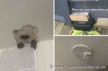 Sydenham disabled woman stuck in ‘nightmare’ housing conditions