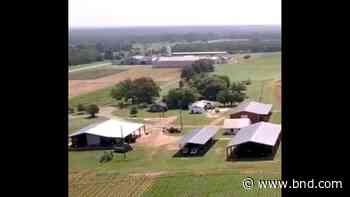 Man dies after grain bin elevator collapses and traps him, Georgia officials say - Belleville News-Democrat