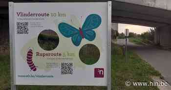 Vlinder- en rupsroute leiden wandelaars door Scheldevallei | Nazareth | hln.be - Het Laatste Nieuws