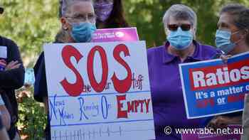 Nurses and midwifes in NSW to strike next week after budget 'slap in the face'