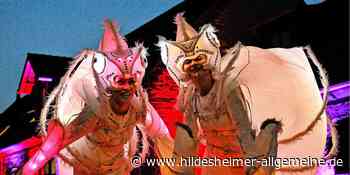 In Bildern: Die Mittsommernacht der Uni Hildesheim auf der Domäne Marienburg - www.hildesheimer-allgemeine.de