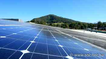 'Flawed' market dominated by 'gentailers' led to Enova's collapse, green energy provider says