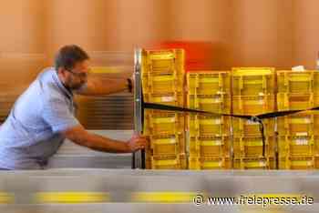 Rutscht die Landratswahl ins Sommerloch? - freiepresse.de