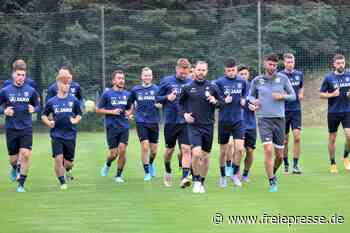 Chemnitzer FC sucht noch Personal - freiepresse.de