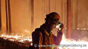 Waldbrände in Brandenburg: Regierung fordert „Feuerwehrgipfel“