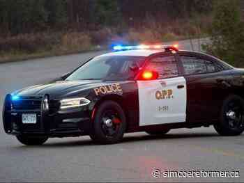 POLICE BLOTTER: Hagersville resident charged with forcible confinement - Simcoe Reformer
