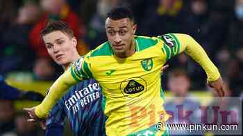 Norwich City: Chris Sutton column on Adam Idah potential - PinkUn