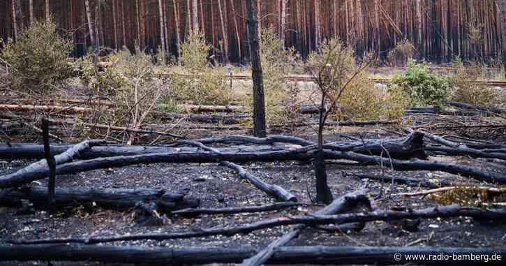 Feuerwehr reduziert nach Brand in Brandenburg Einsatzkräfte
