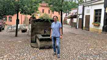 Das Sommerkino in Wittenberg startet - Mitteldeutsche Zeitung