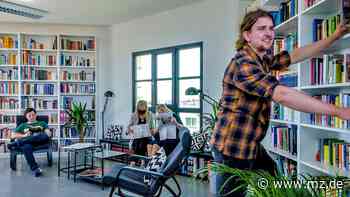 Bufdi gestaltet die Bibliothek der Hundertwasserschule in Wittenberg neu - Mitteldeutsche Zeitung