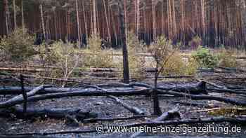 Feuerwehr reduziert nach Brand in Brandenburg Einsatzkräfte