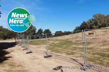 Der komplette Losberg ist aktuell einzäunt: Was steckt dahinter? - Ruhr Nachrichten