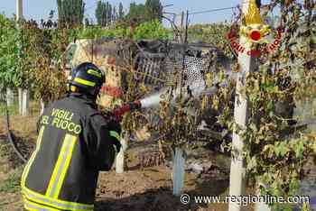 Trattore in fiamme nella vigna: vigili del fuoco a Budrio - Reggionline