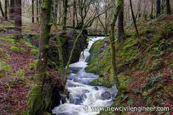 Contractors wanted for £36M Welsh forest infrastructure framework - New Civil Engineer