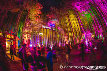 Five up-and-coming acts not to miss at Electric Forest 2022 - Dancing Astronaut