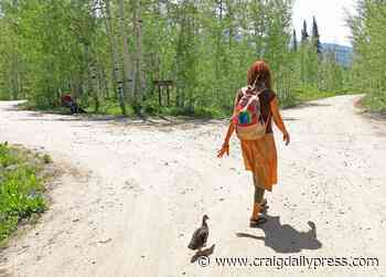 Hundreds of Rainbows set up forest camp in Routt County - Craig Press