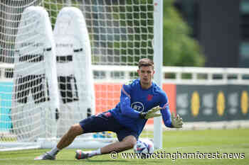 Report: Nottingham Forest linked Nick Pope set for Newcastle transfer - Nottingham Forest News