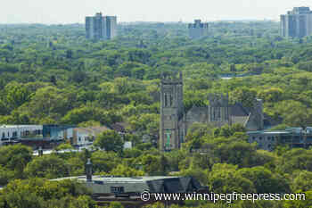 Where's the urban forest urgency? - Winnipeg Free Press