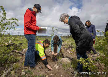 Province provides funding to reduce community wildfire risks, enhance forest health | BC Gov News - BC Gov News