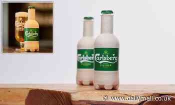 Carlsberg is trialling a fully recyclable beer bottle made from WOOD fibres