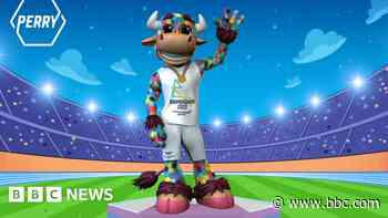 Birmingham Commonwealth Games: Pupils compete to mark event - BBC