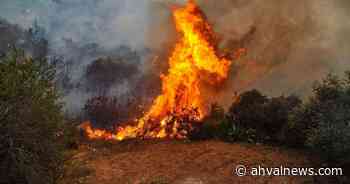 Turkey warns media against spreading ‘disinformation’ on forest fire - Ahval