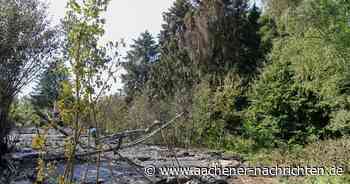 Nach erneutem Brand: Camp Hitfeld gilt nicht als Einsatzschwerpunkt für die Polizei