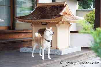 Inspired by traditional Japanese architecture, these spectacular handmade doghouses cost more than a Tesla Model S Plaid. - Luxurylaunches
