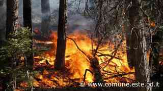 Dichiarazione di stato di grave pericolosità per incendi boschivi - Comune di Este
