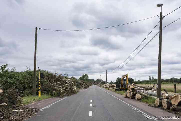 Beelden zeggen meer dan woorden: Nick Hannes treurt met contrasterende foto’s om 154 gekapte zilverpopulieren