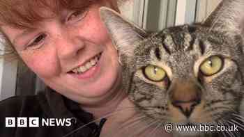 Cost of living: Animal charity struggling over rising prices