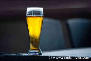 Friends sue each other for damages after armed drunken fight – Saanich News - Saanich News