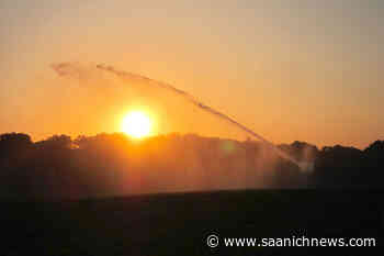 Langford set to apply for extreme heat mapping funding – Saanich News - Saanich News