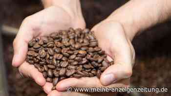 Kaffee selber rösten nichts für Vieltrinker